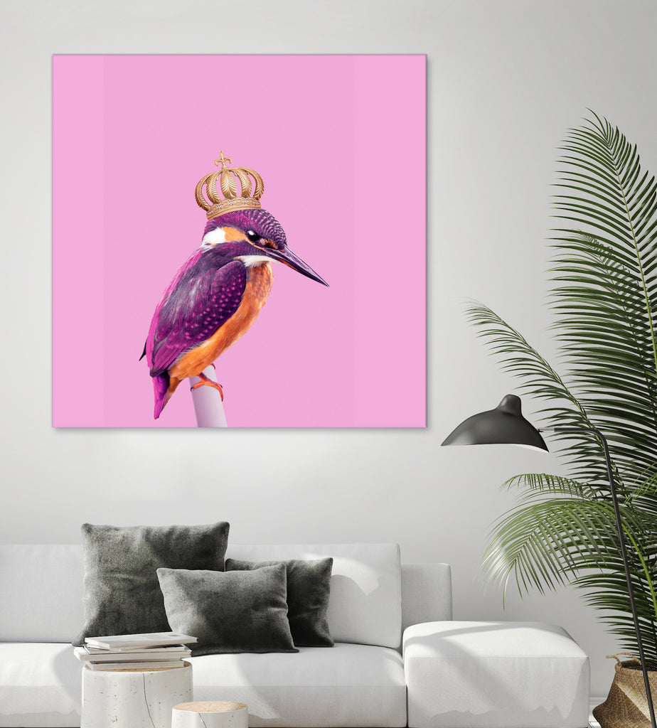 QUEENFISHER by Jonas Loose on GIANT ART - pink photo manipulation