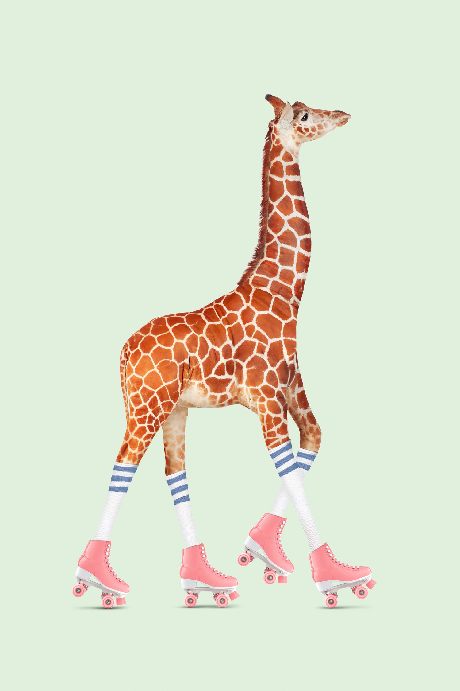 ROLLERSKATING GIRAFFE by Jonas Loose on GIANT ART - green photo manipulation