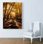 Komorebi by Kevin Westerman on GIANT ART - yellow photo manipulation