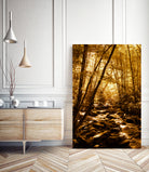 Komorebi by Kevin Westerman on GIANT ART - yellow photo manipulation