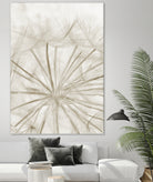 Dandelion Neutral Close-up by IOANNA PAPANIKOLAOU on GIANT ART - brown photo illustration