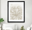 Dandelion Neutral Close-up by IOANNA PAPANIKOLAOU on GIANT ART - brown photo illustration