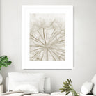 Dandelion Neutral Close-up by IOANNA PAPANIKOLAOU on GIANT ART - brown photo illustration