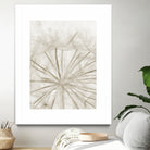 Dandelion Neutral Close-up by IOANNA PAPANIKOLAOU on GIANT ART - brown photo illustration