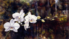 Orchids by Matthew Holden Bates on GIANT ART - white botanical