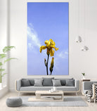 Yellow Iris by Matthew Holden Bates on GIANT ART - yellow botanical