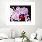 Purple Orchids by Matthew Holden Bates on GIANT ART - purple botanical