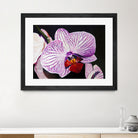 Purple Orchids by Matthew Holden Bates on GIANT ART - purple botanical