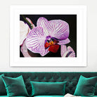 Purple Orchids by Matthew Holden Bates on GIANT ART - purple botanical