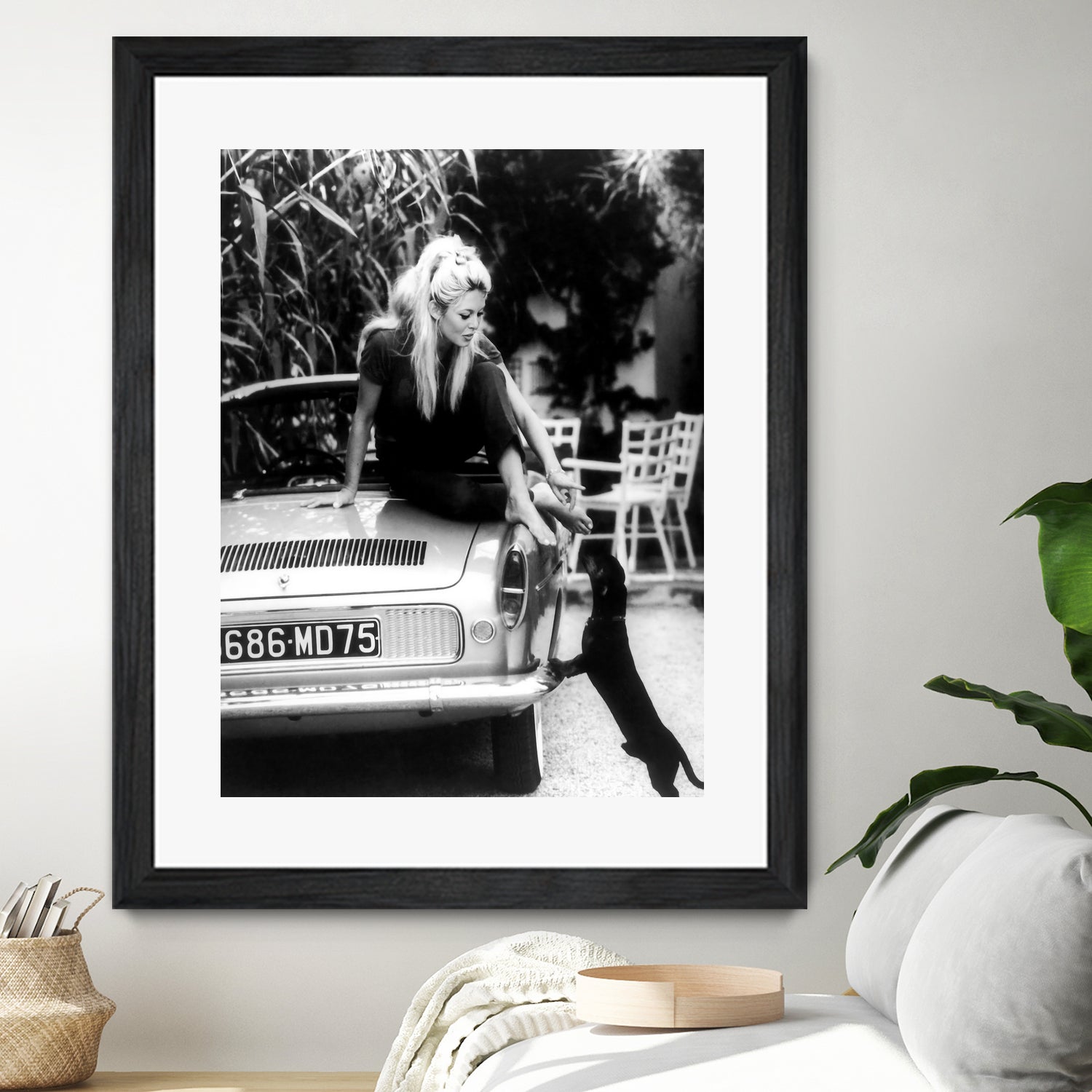 Brigitte Bardot  with her dog in St. Tropez, 1962 by M Studio on GIANT ART - black and white photographie bardot