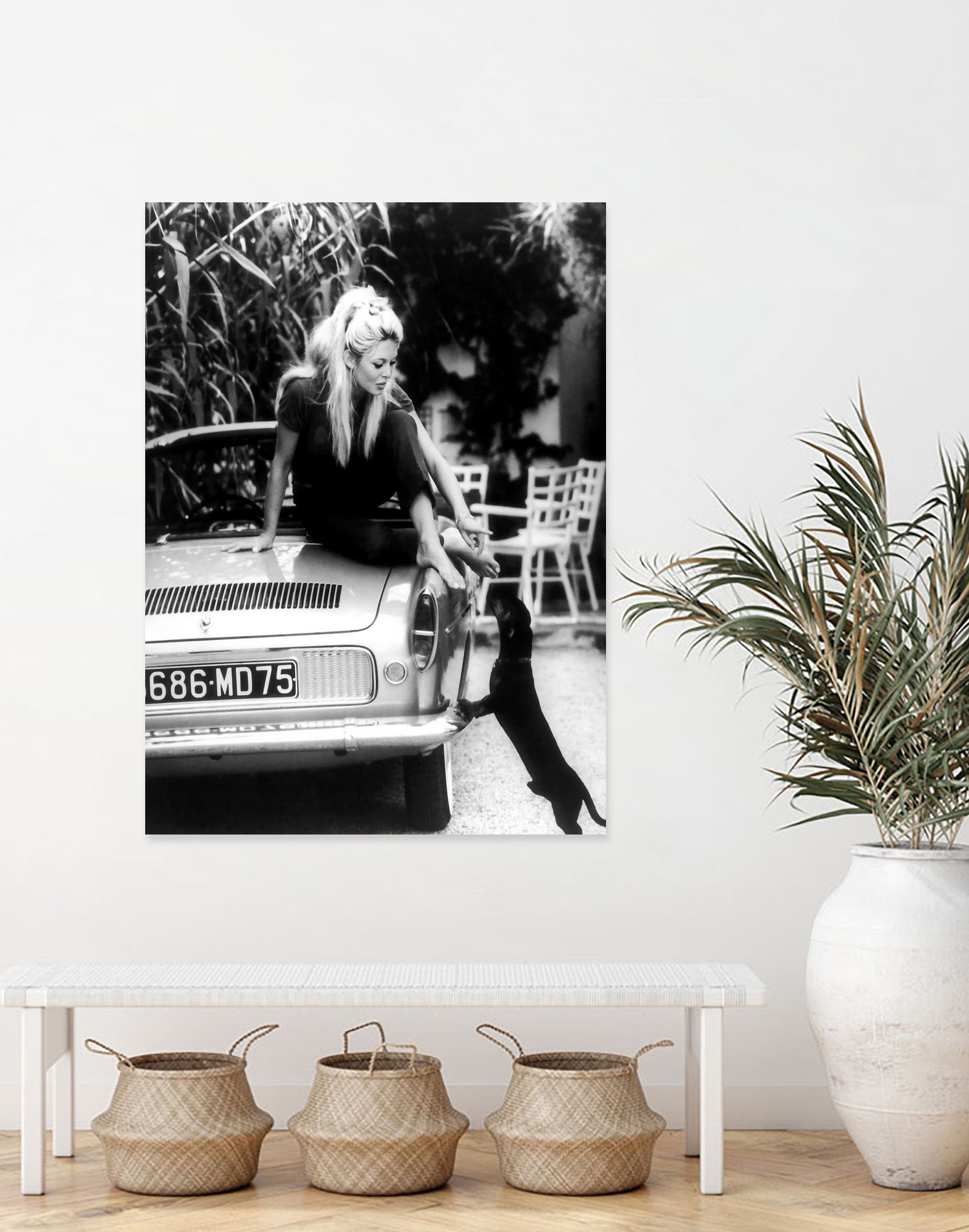 Brigitte Bardot  with her dog in St. Tropez, 1962 by M Studio on GIANT ART - black and white photographie bardot