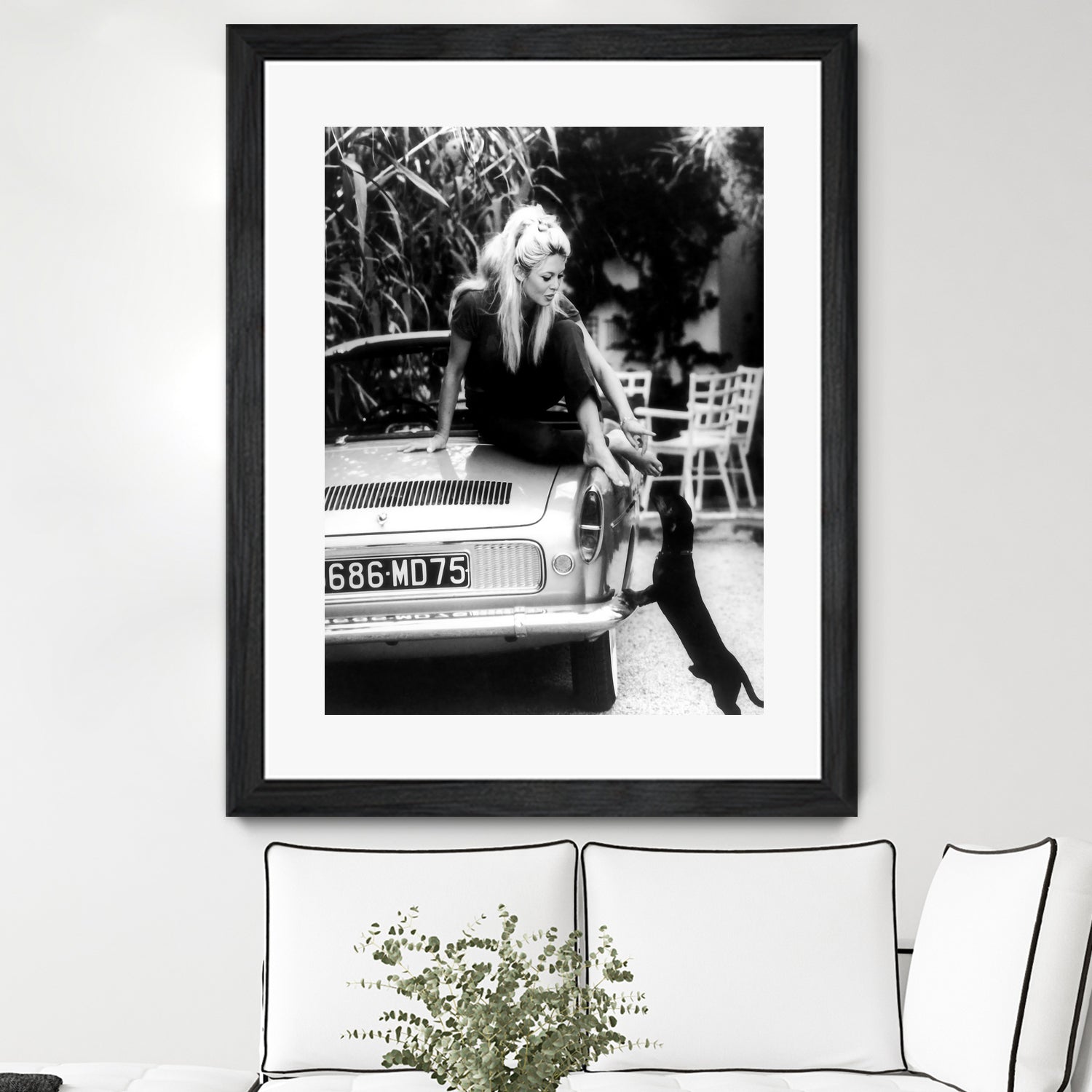 Brigitte Bardot  with her dog in St. Tropez, 1962 by M Studio on GIANT ART - black and white photographie bardot