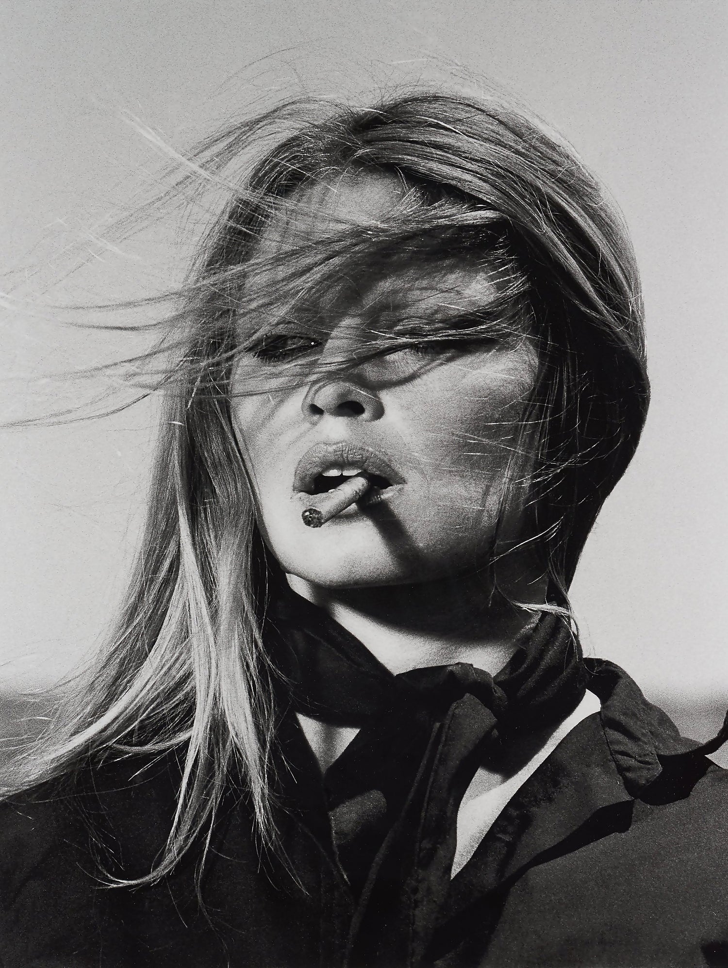 Brigitte Bardot by M Studio on GIANT ART - black and white black and white bardot