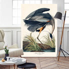 Great Blue Heron by John James Audubon on GIANT ART - green botanical nature
