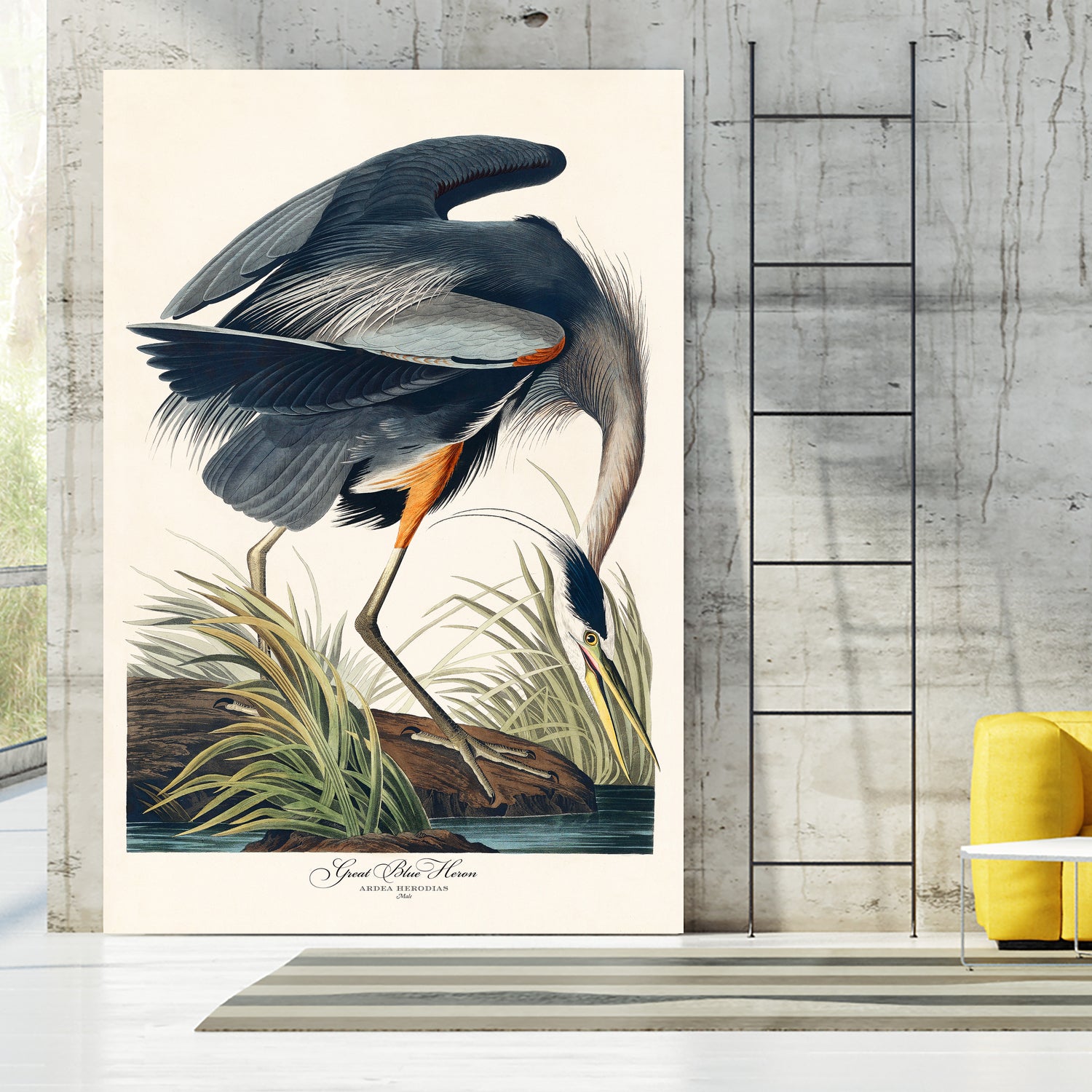 Great Blue Heron by John James Audubon on GIANT ART - green botanical nature
