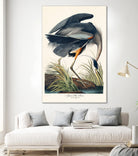 Great Blue Heron by John James Audubon on GIANT ART - green botanical nature