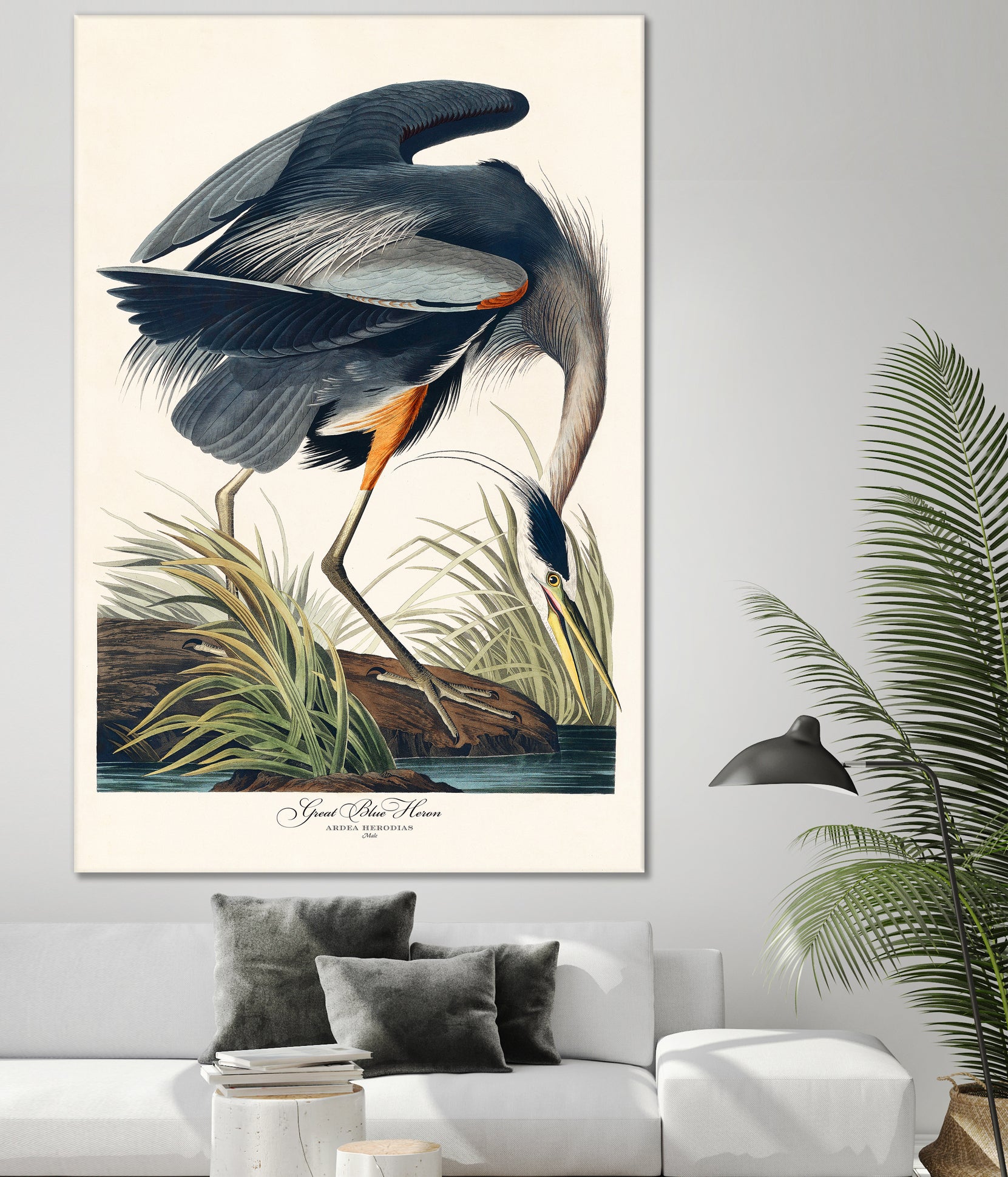 Great Blue Heron by John James Audubon on GIANT ART - green botanical nature