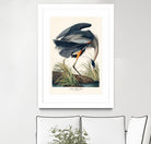 Great Blue Heron by John James Audubon on GIANT ART - green botanical nature