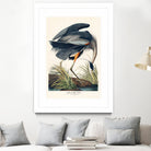 Great Blue Heron by John James Audubon on GIANT ART - green botanical nature