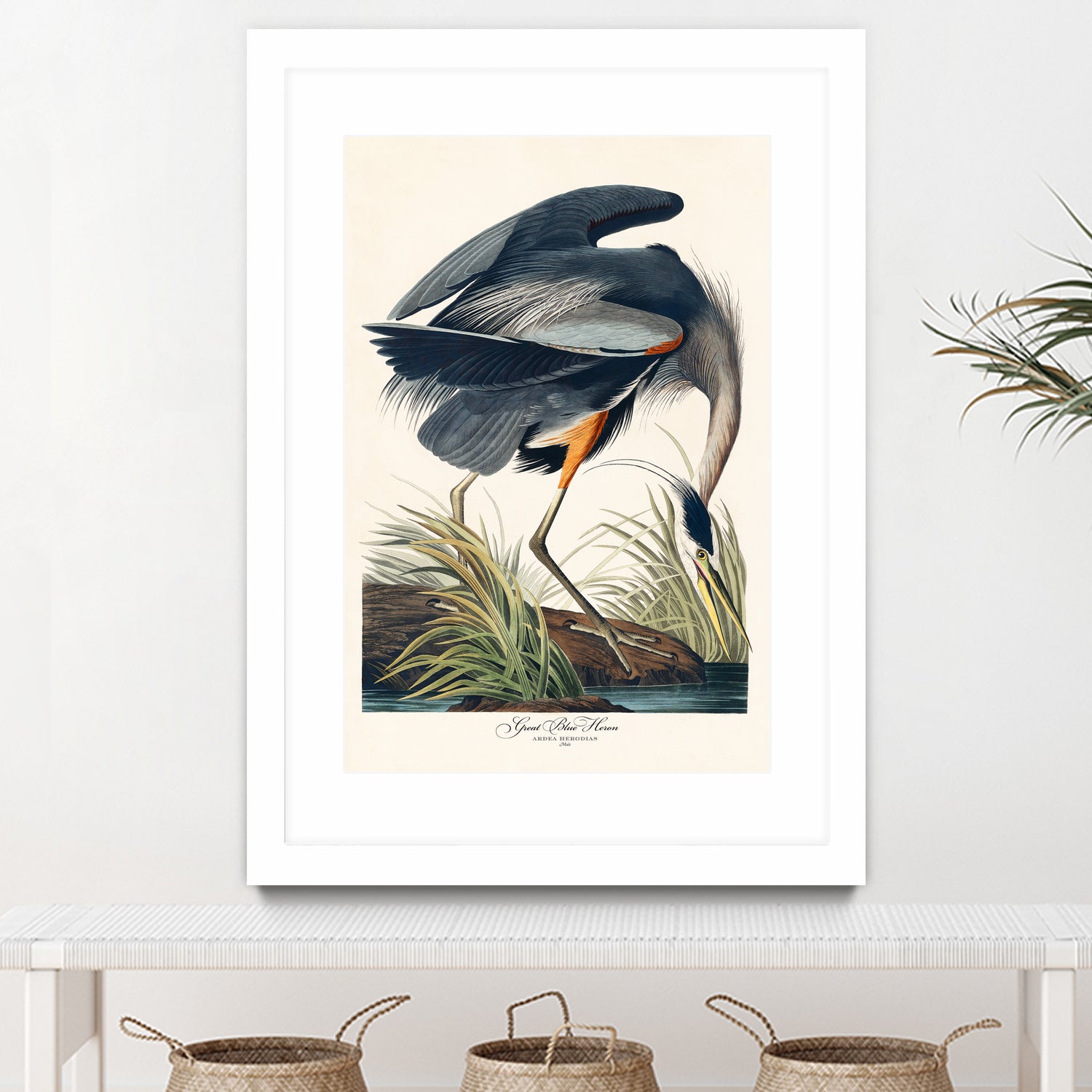 Great Blue Heron by John James Audubon on GIANT ART - green botanical nature