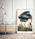 Great Blue Heron by John James Audubon on GIANT ART - green botanical nature