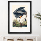 Great Blue Heron by John James Audubon on GIANT ART - green botanical nature