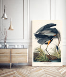 Great Blue Heron by John James Audubon on GIANT ART - green botanical nature