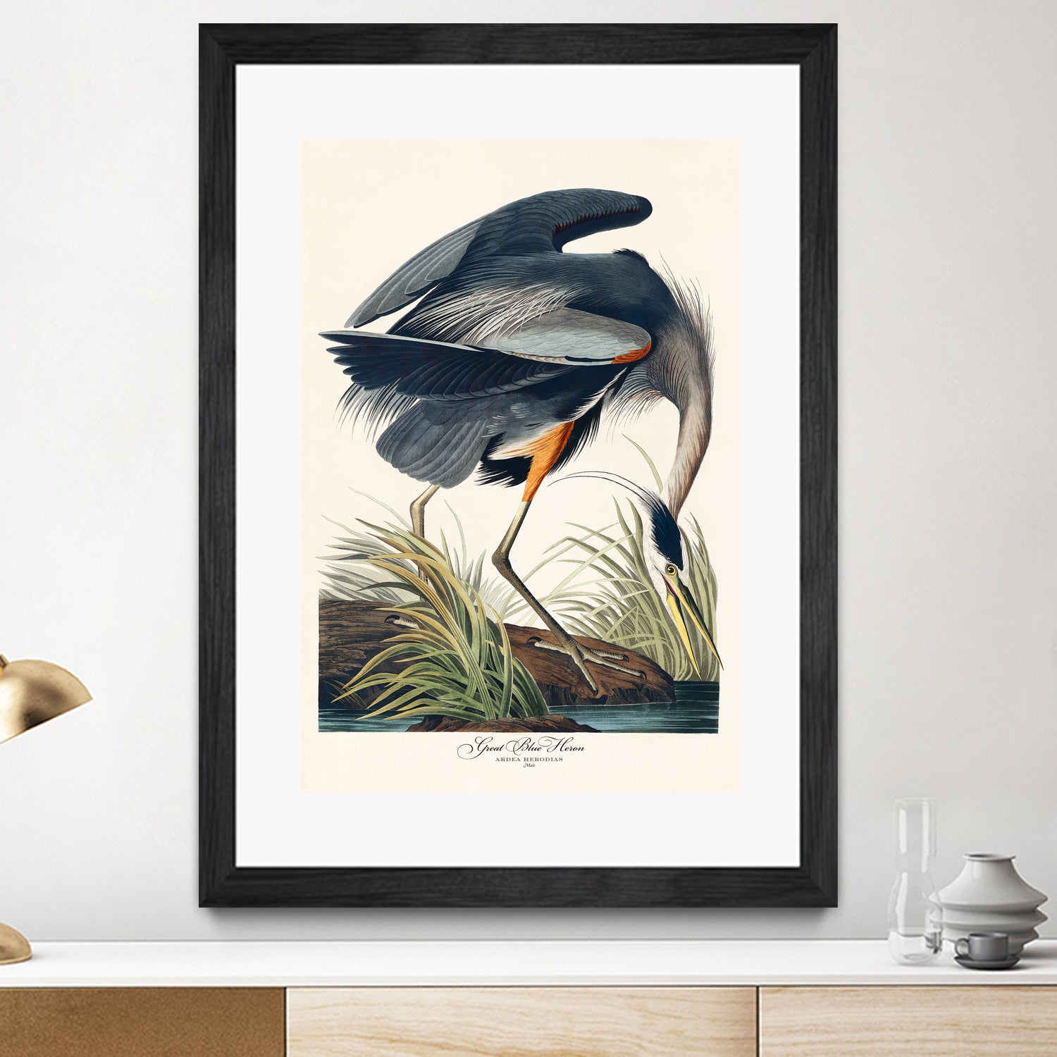 Great Blue Heron by John James Audubon on GIANT ART - green botanical nature