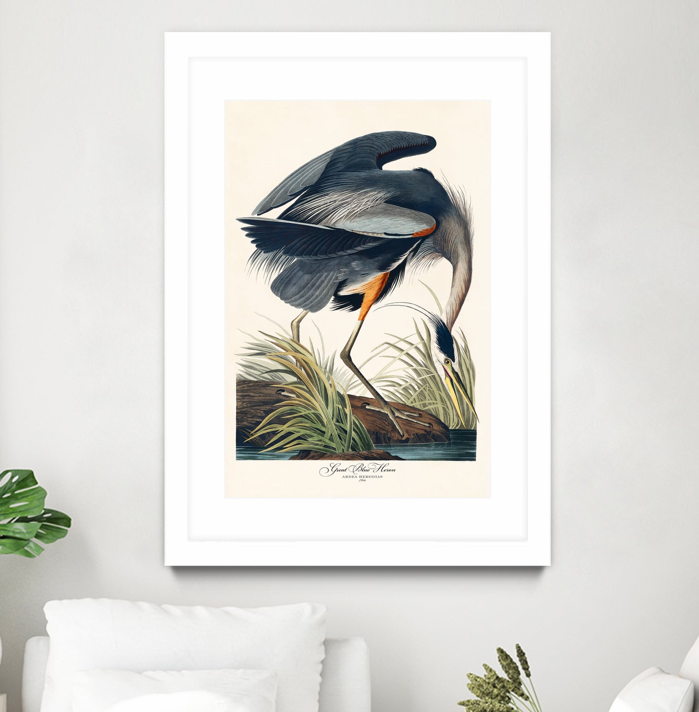 Great Blue Heron by John James Audubon on GIANT ART - green botanical nature