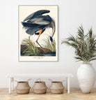 Great Blue Heron by John James Audubon on GIANT ART - green botanical nature