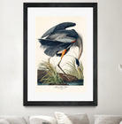 Great Blue Heron by John James Audubon on GIANT ART - green botanical nature