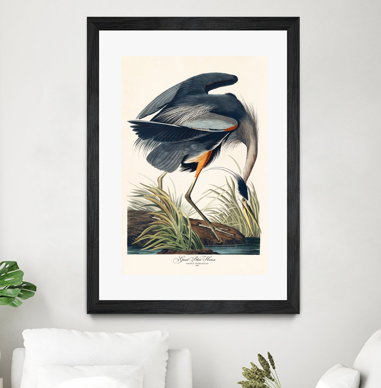 Great Blue Heron by John James Audubon on GIANT ART - green botanical nature