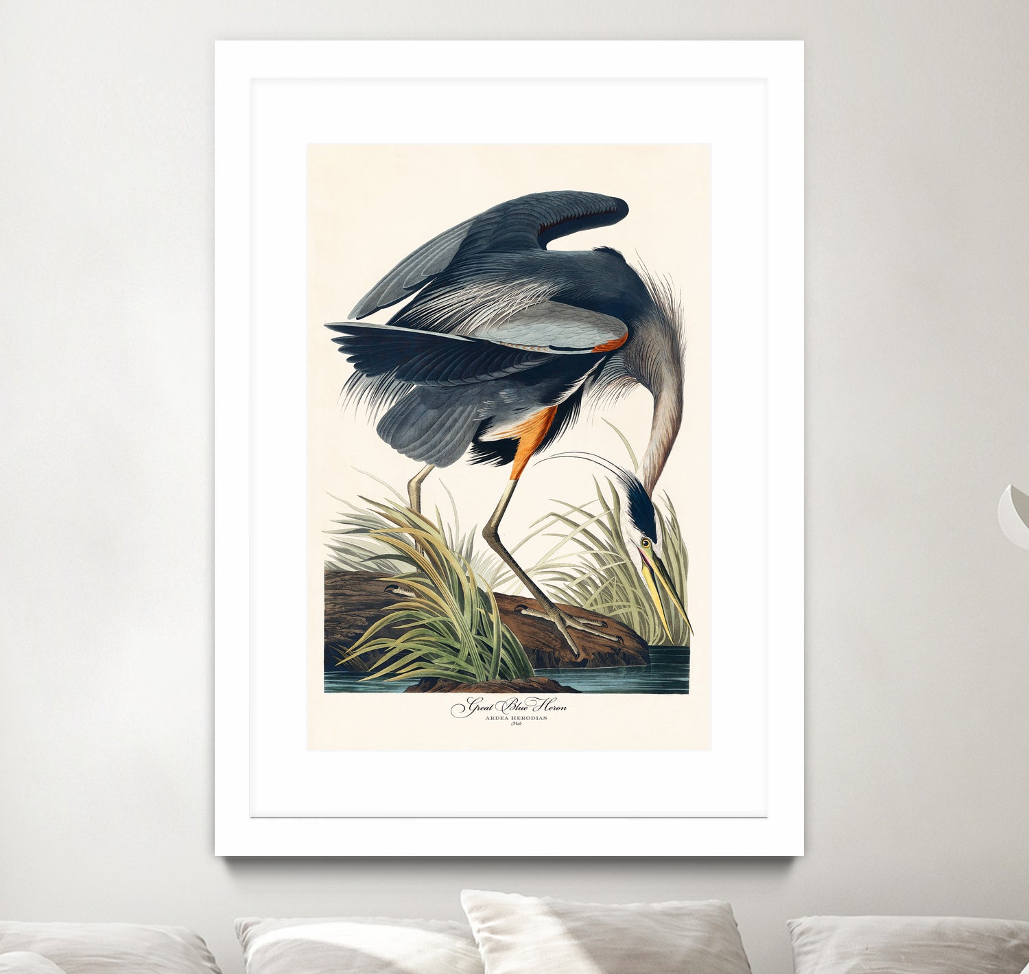 Great Blue Heron by John James Audubon on GIANT ART - green botanical nature