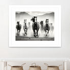 Run by M Studio on GIANT ART - white black and white  horse