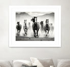 Run by M Studio on GIANT ART - white black and white  horse