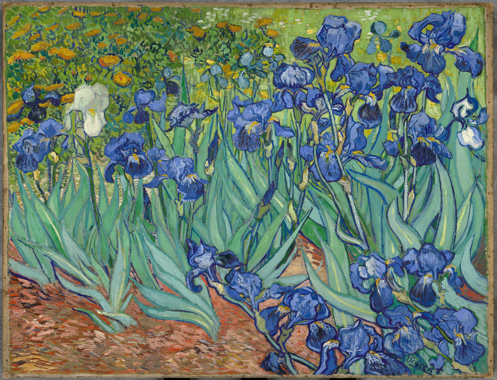 Irises, 1889 by Vincent Van Gogh on GIANT ART - green botanical