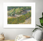 Coin de jardin avec papillons by Vincent van Gogh on GIANT ART