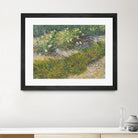 Coin de jardin avec papillons by Vincent van Gogh on GIANT ART