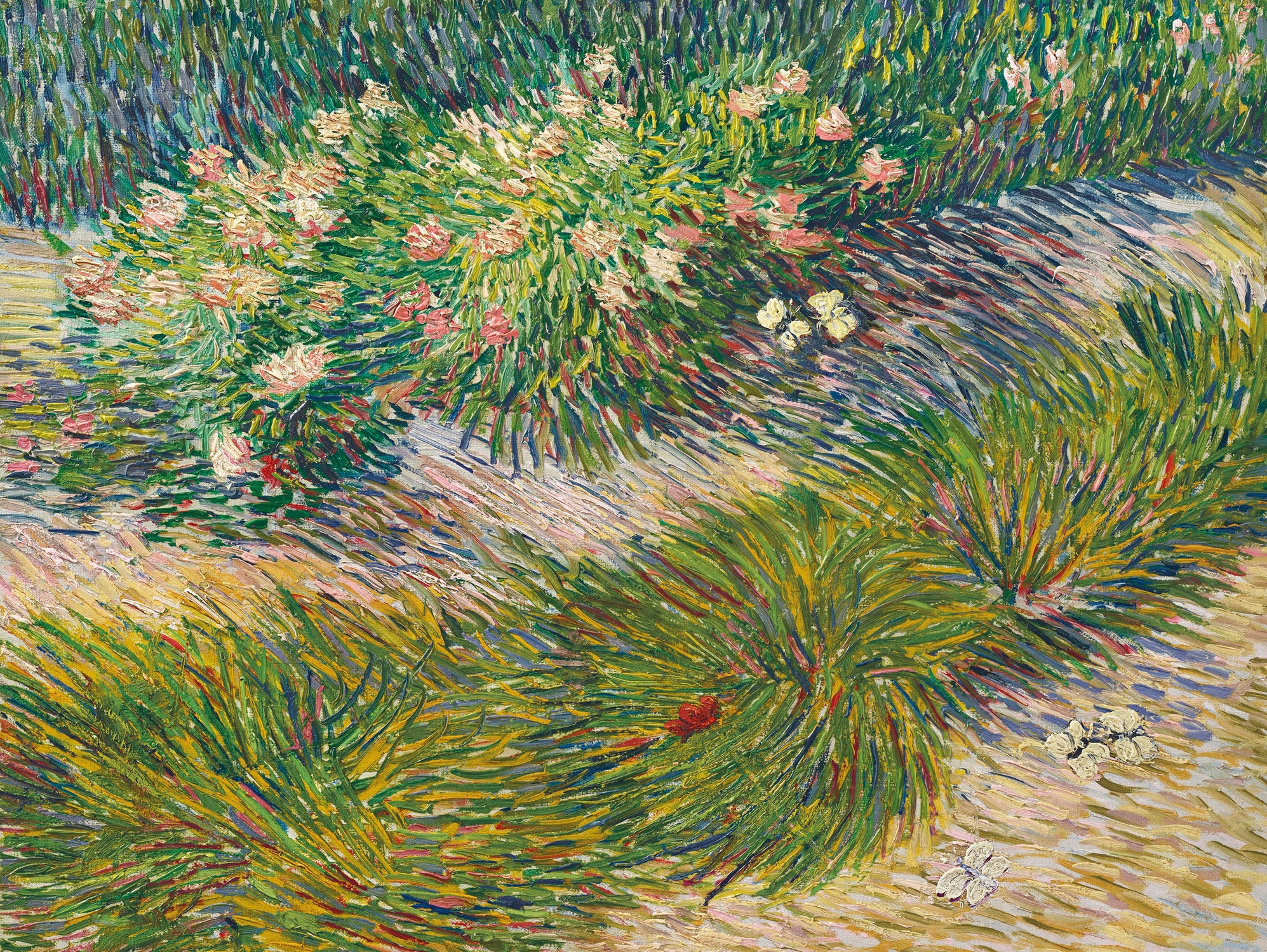 Coin de jardin avec papillons by Vincent van Gogh on GIANT ART