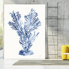 Shibori Coral I by Mary Urban on GIANT ART - blue