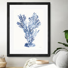 Shibori Coral I by Mary Urban on GIANT ART - blue