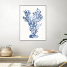 Shibori Coral I by Mary Urban on GIANT ART - blue