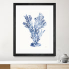 Shibori Coral I by Mary Urban on GIANT ART - blue