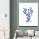 Shibori Coral I by Mary Urban on GIANT ART - blue