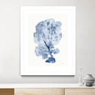 Shibori Coral II by Mary Urban on GIANT ART - blue