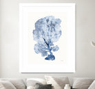 Shibori Coral II by Mary Urban on GIANT ART - blue