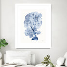 Shibori Coral II by Mary Urban on GIANT ART - blue