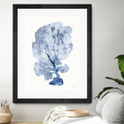 Shibori Coral II by Mary Urban on GIANT ART - blue