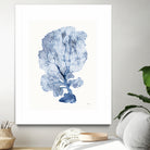Shibori Coral II by Mary Urban on GIANT ART - blue