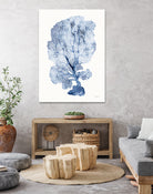 Shibori Coral II by Mary Urban on GIANT ART - blue